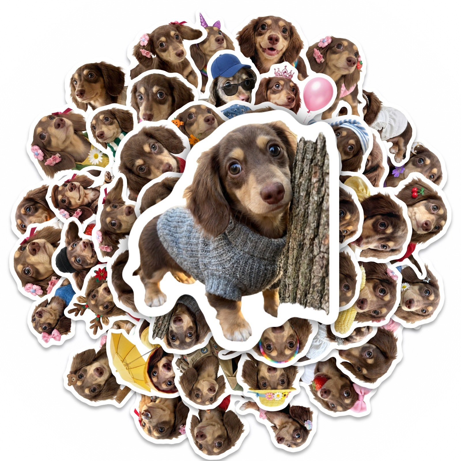 50 Pcs HD Cute Dachshund Stick - Motorcycle Gear For Dogs ulasan dan harga
