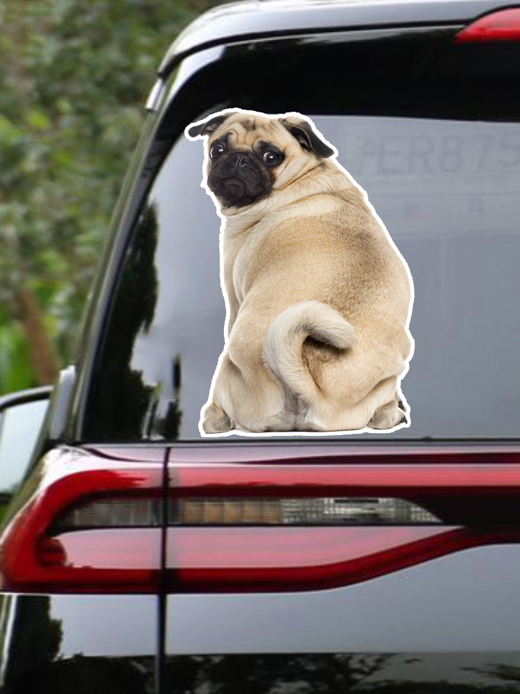 B0692# Self-adhesive Decal Pug - Motorcycle Gear For Dogs ulasan dan harga