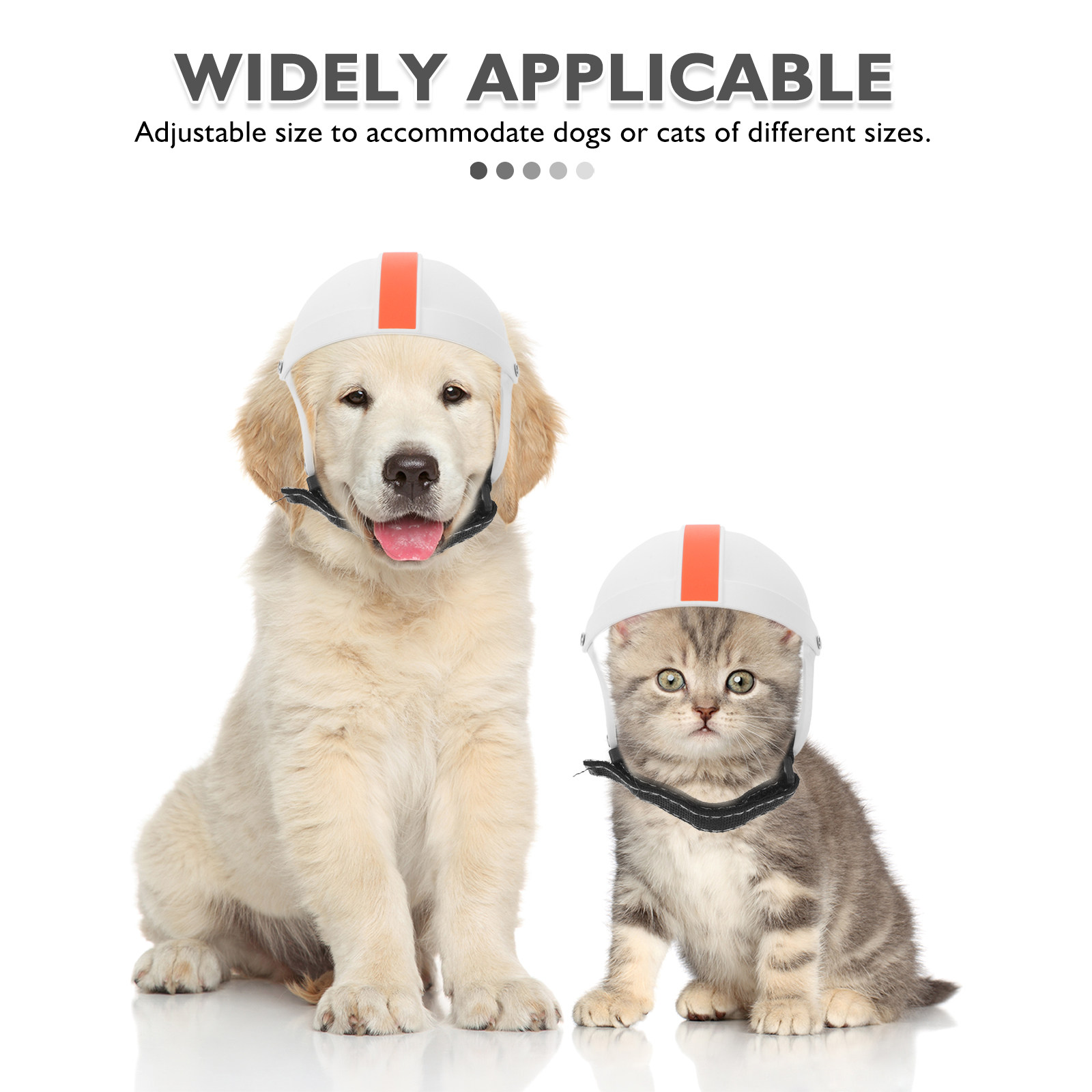 Small Medium Dog Cat Motorcycl - Motorcycle Gear For Dogs ulasan dan harga