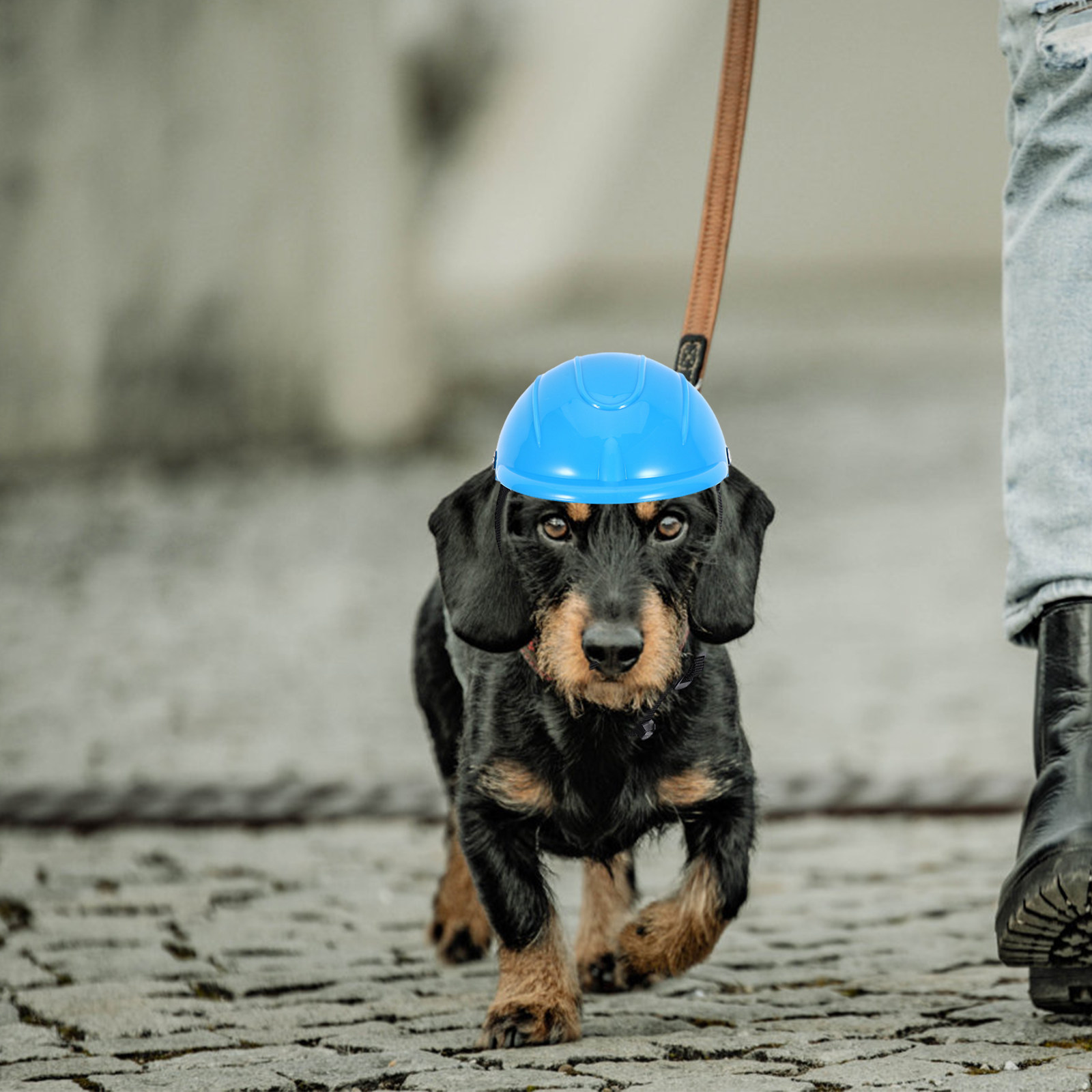 Small Dog Adjustable Pet Safet - Motorcycle Gear For Dogs ulasan dan harga